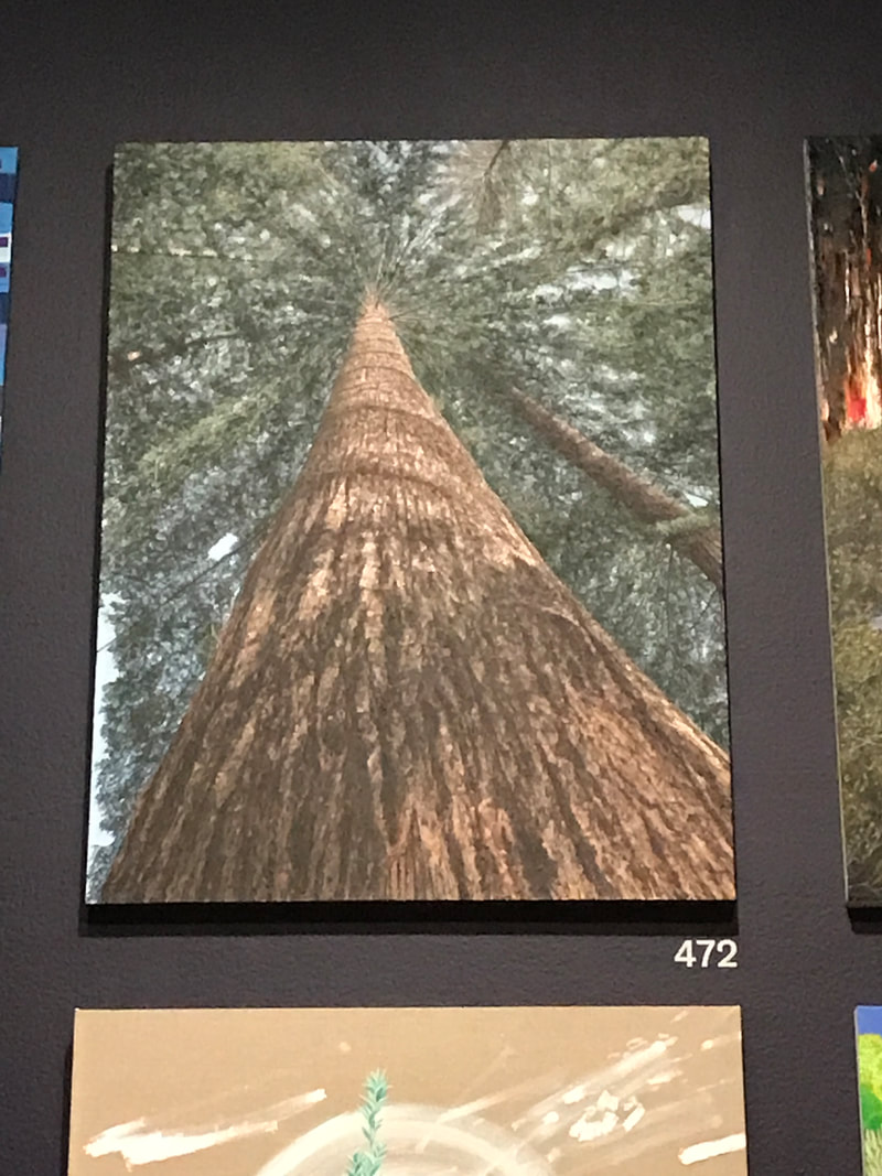 Artist Eric Wong's Redwood Tree 2: Our roots are interlocked painting #472 at the de Young Open 2023 museum exhibition in San Francisco Golden Gate Park